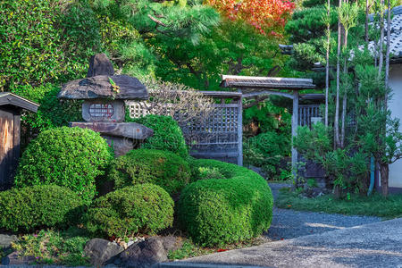 日本花园