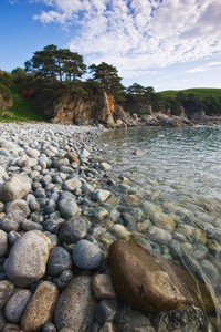 松木 海滩 岩石 场景 季节 风景 颜色 放松 美女 海景