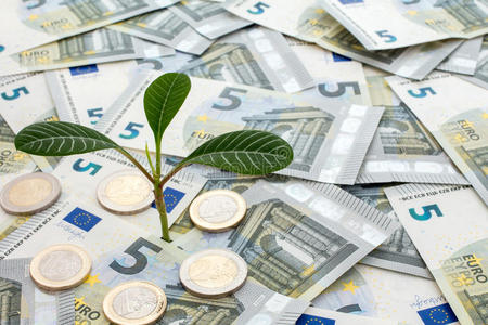 商业 欧洲 补贴 金融 幼树 进步 幼苗 生长 投资 欧元
