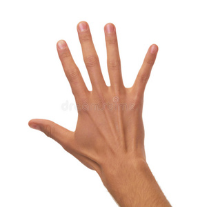 棕榈 手指 签名 人类 拳头 拇指 头发 皮肤 白种人 男人