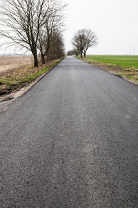 田野之间的柏油路