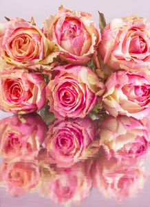 在桌子上的粉红玫瑰图片