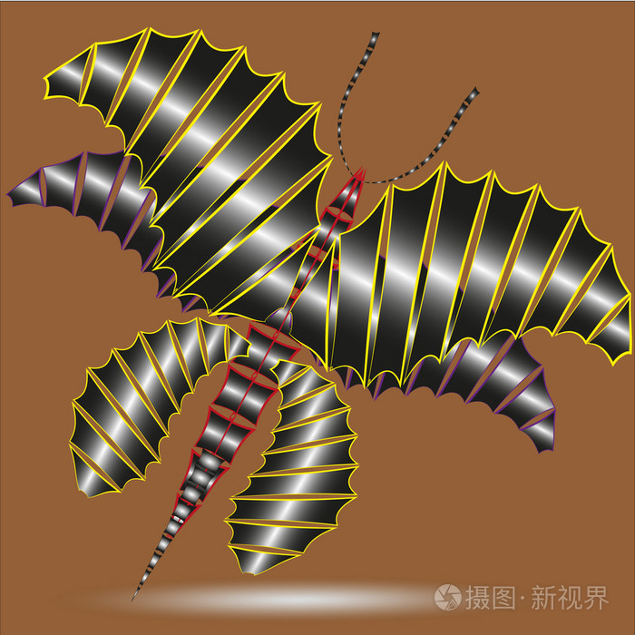 蝴蝶龙_蝴蝶龙图片_蝴蝶龙鲤多少钱一条