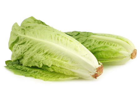 罗马生菜图片