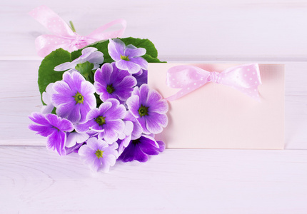 花束紫樱草和纸制贺卡