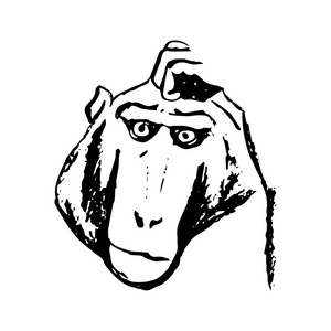 思考的猴子猴子在思考(抽象)照片