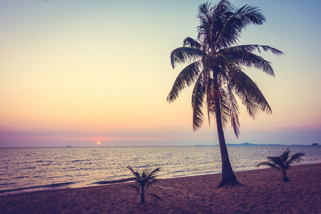 海滩上的棕榈树