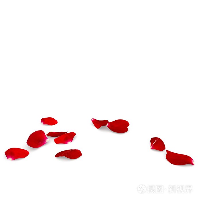 玫瑰花瓣掉在地上