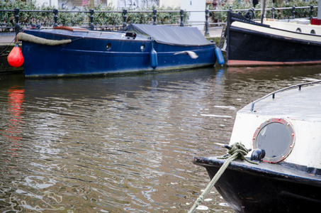 在阿姆斯特丹运河上划船