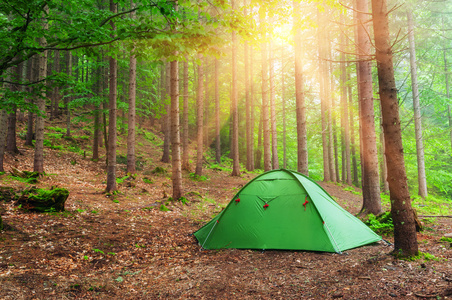 在森林中的绿色帐篷