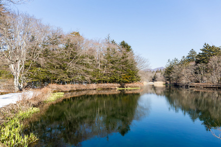 Kumobaike 水池塘在轻井泽