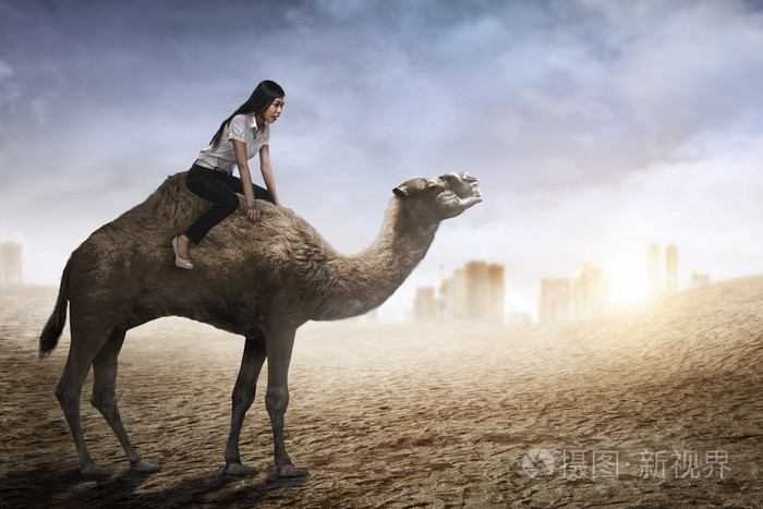 亚洲女商人骑骆驼