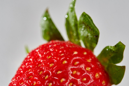新鲜红草莓用水下降