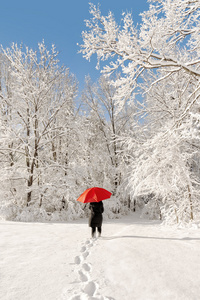 多雪的冬季步行