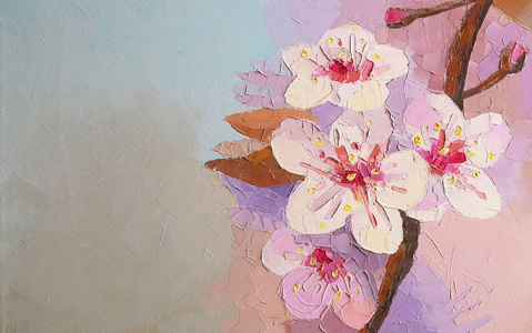 油画樱花盛开的花.樱花照片