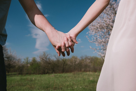 运行中绽放花园举行的幸福夫妻手牵手在蓝色天空背景照片