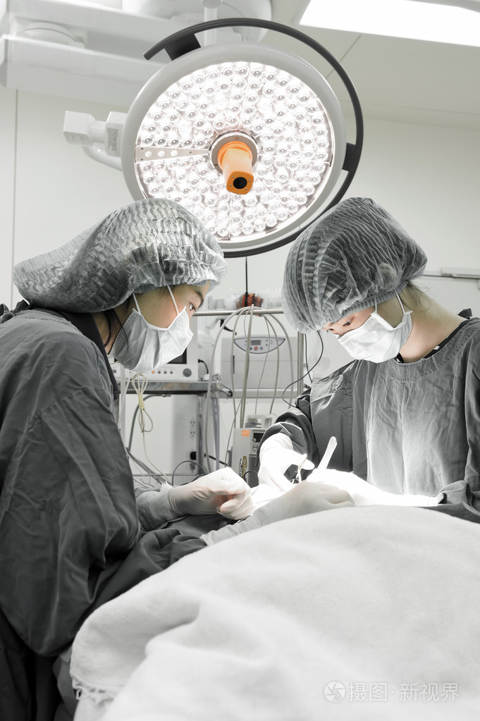 两名兽医外科医生在手术室里