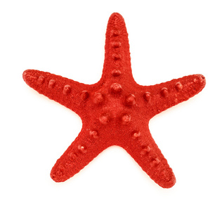 装饰的红色海洋之星