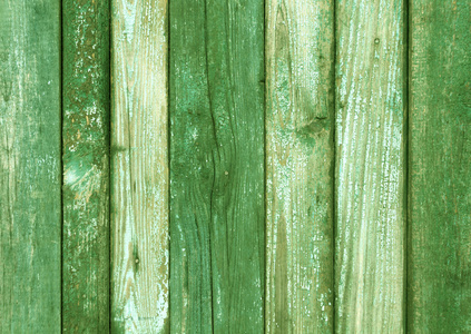 臭板虫又脏又臭的绿色木板墙纹理照片