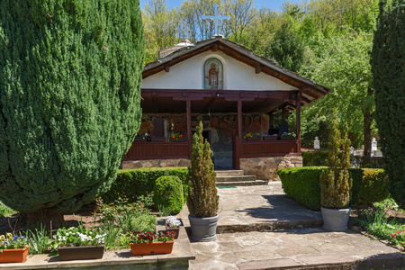绿树和教会在 Temski 修道院圣  乔治，塞尔维亚共和国