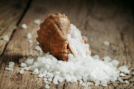 海盐被倒从贝壳