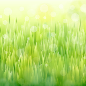 矢量自然绿色背景与阳光和草