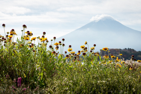 富士山在雾里图片