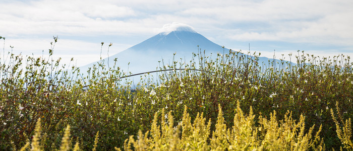 富士山在雾里