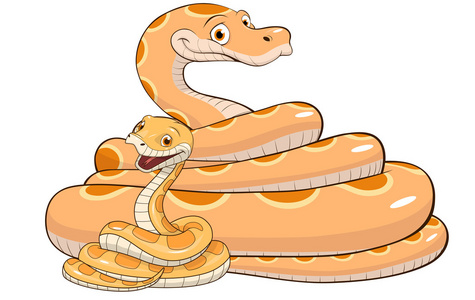 宝宝康图片