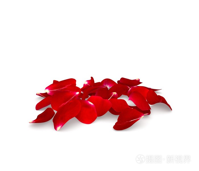 玫瑰花瓣掉在地上