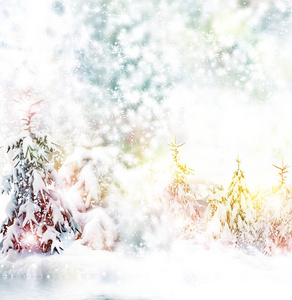 冬天。降雪量。冬季景观。抽象的冬季圣诞背景。冬季森林