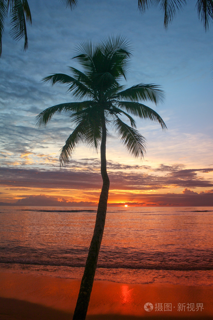 棕榈树和热带海滩的日落美景照片-正版商用图片1nlc0k-摄图新视界