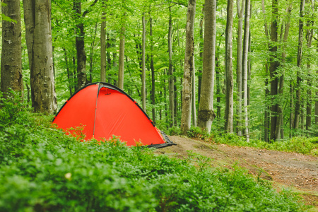 在森林里野营帐篷