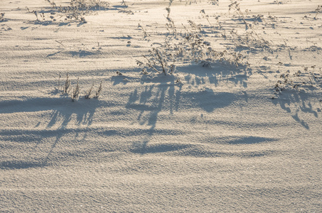 在冬天雪