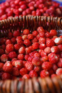 成熟的野生草莓