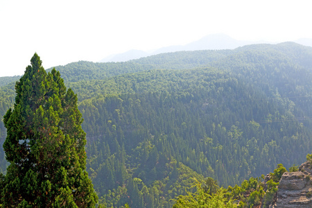 从亚洲土耳其 selge 古建筑废墟和纳山