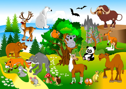 有趣的动物,在绿色的森林照片