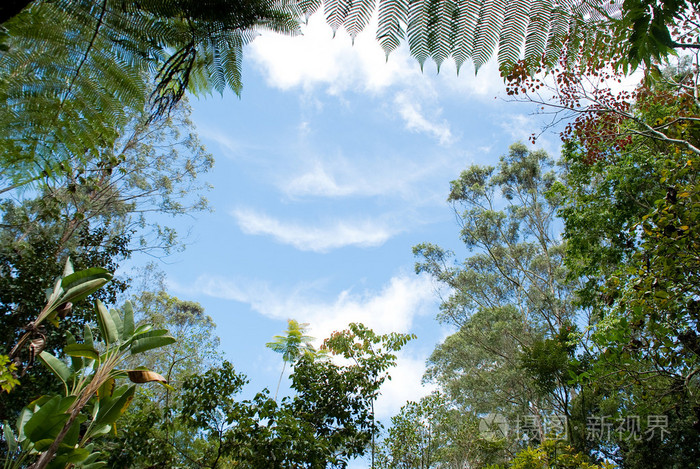 蓝蓝的天空,穿过树林的美景