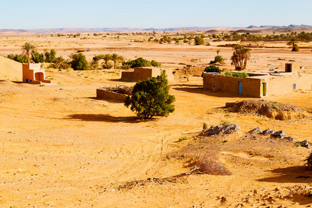 撒哈拉在摩洛哥棕榈和历史的村庄