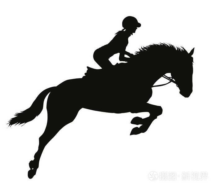 马术运动剪影