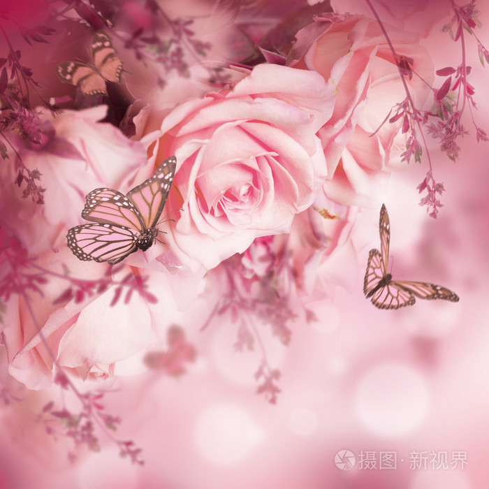 美丽的玫瑰和蝴蝶