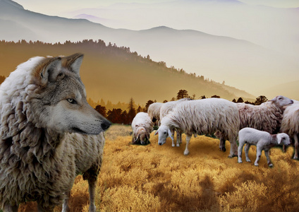 披着羊皮的狼图片