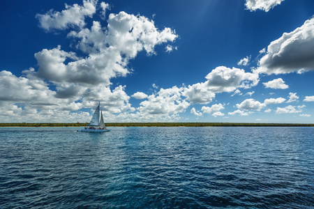 以上海洋以上的海洋表面的白色蓬松的云彩蓝色天空照片
