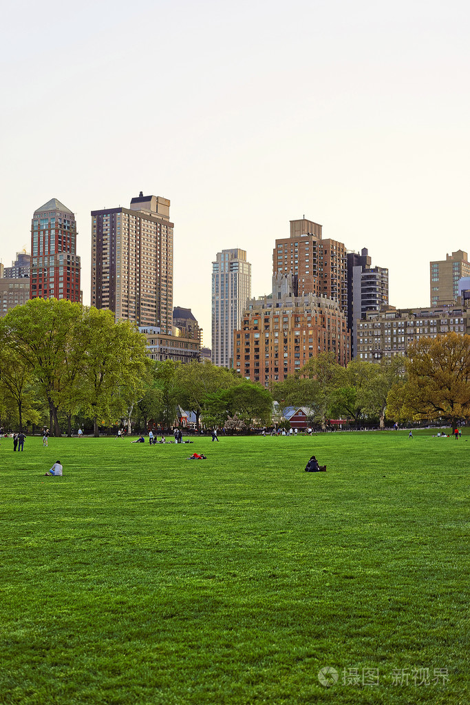 中央公园的绿色草坪和曼哈顿天际线