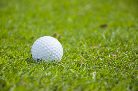 高尔夫球在草地上的细节