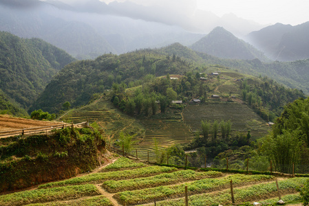 越南泛斯潘，山，