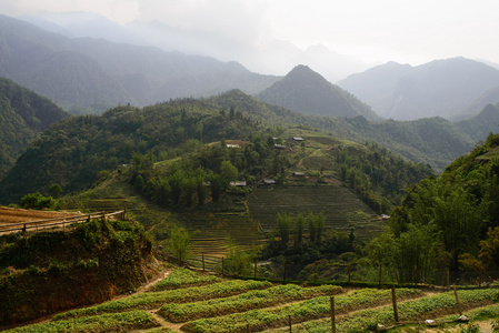 越南泛斯潘，山，