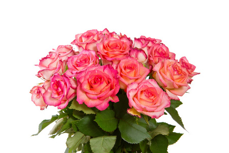 孤立的粉红玫瑰花束