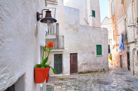 小巷里。Polignano 一匹母马。普利亚大区。意大利