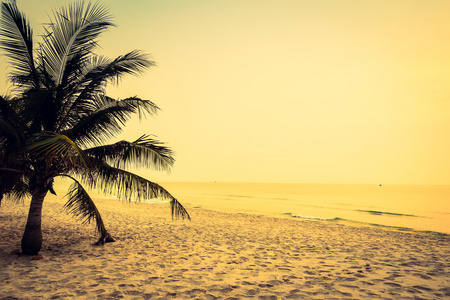 剪影椰子棕榈树在沙滩上